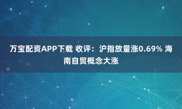 万宝配资APP下载 收评：沪指放量涨0.69% 海南自贸概念大涨